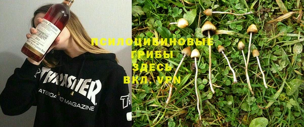 дурь Навашино