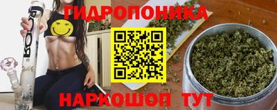 ECSTASY Гатчина