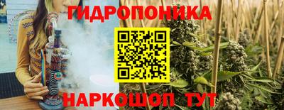 СК Гагарин