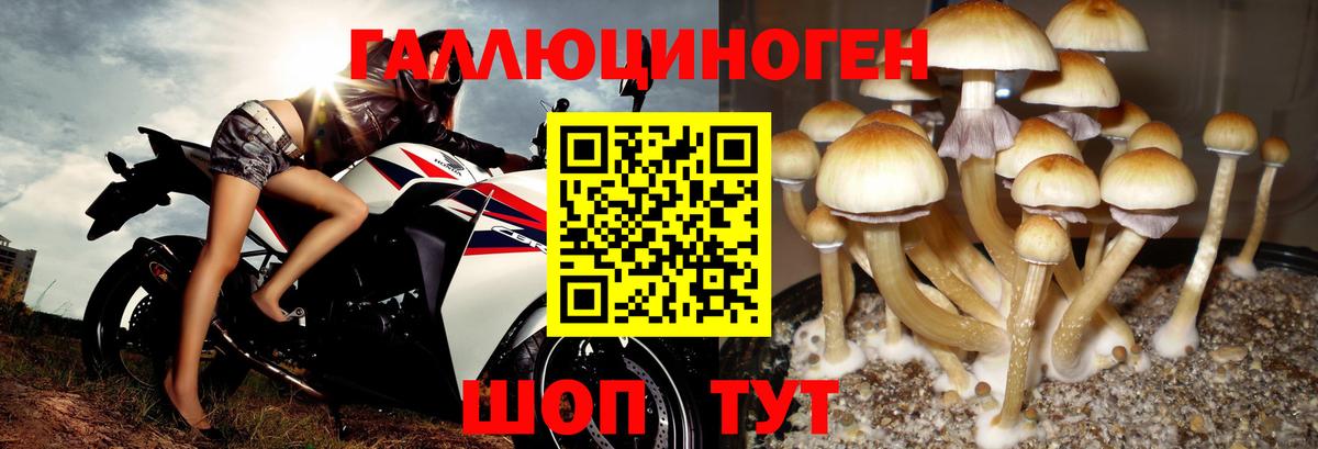 Псилоцибиновые грибы Psilocybine cubensis  Вход с VPN  Галлюциногенные грибы Magic Shrooms  Красноперекопск 