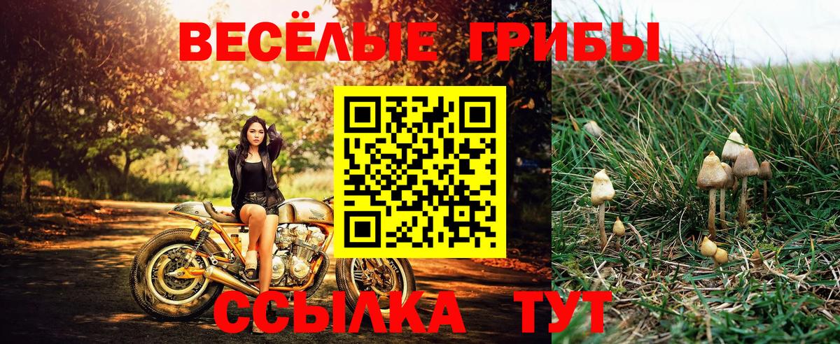 Галлюциногенные грибы ЛСД Красноперекопск